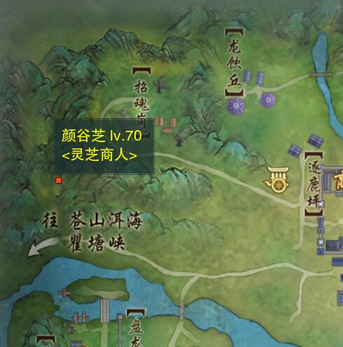 2025德玛西亚杯赛程时间表全解析