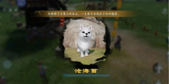 佐罗亚：从神秘起源到现代影响